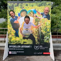 H3_ImpressionSupportSoupleVinyl_11